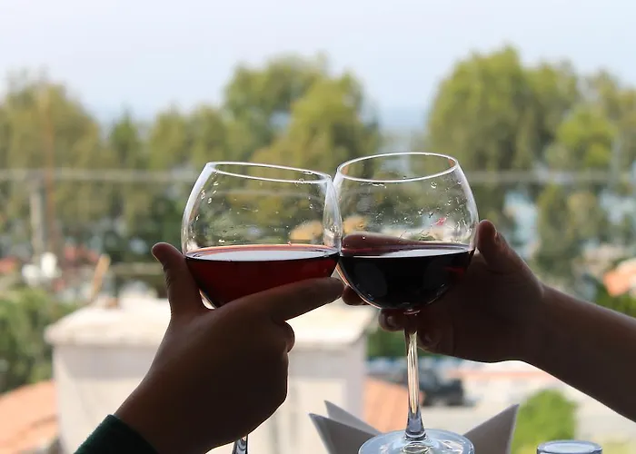 Ξενοδοχείο Agz 3*