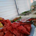 Agz ديكيلي